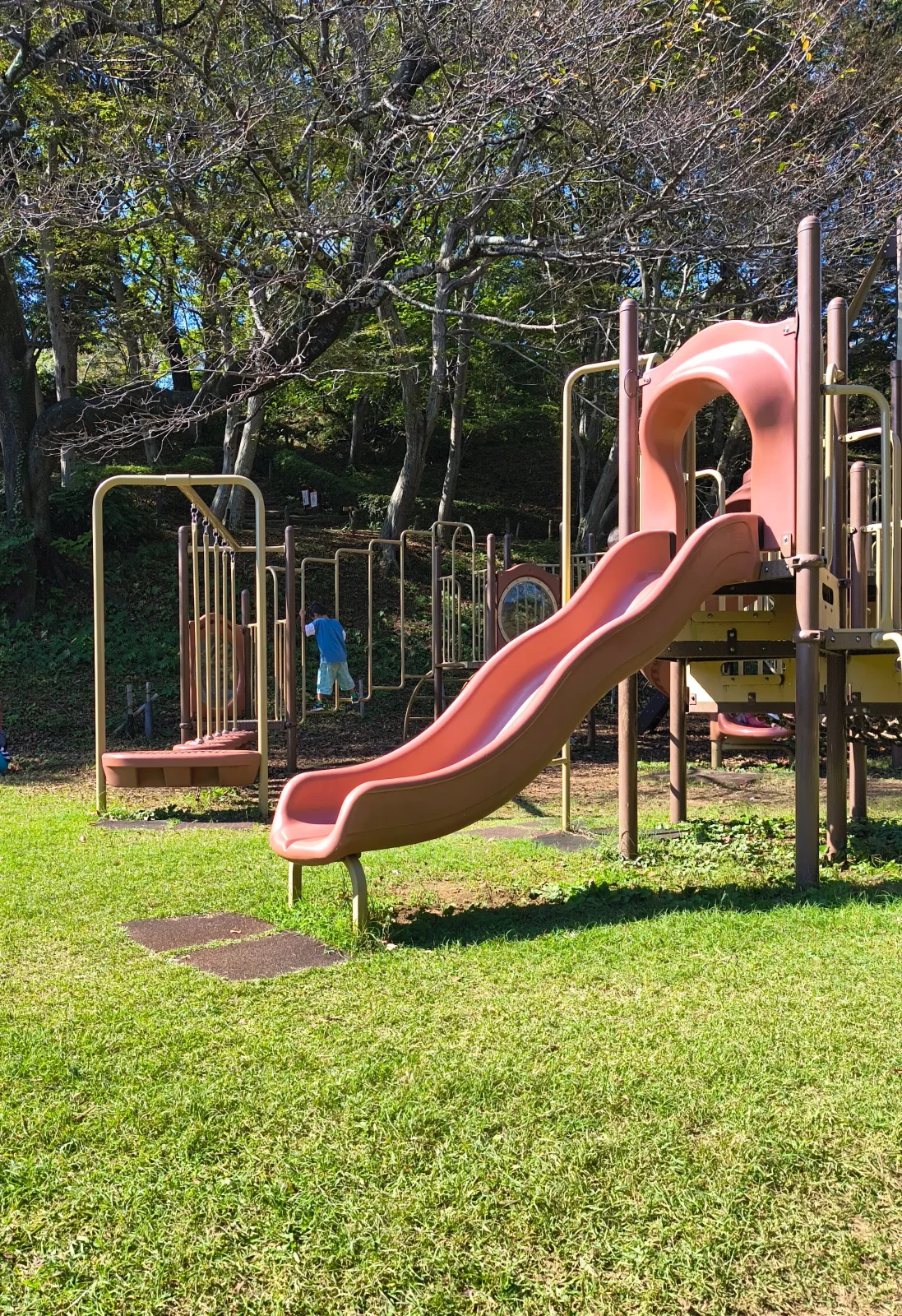吾妻山で遊んだ、ピンクの滑り台がある大きな遊具